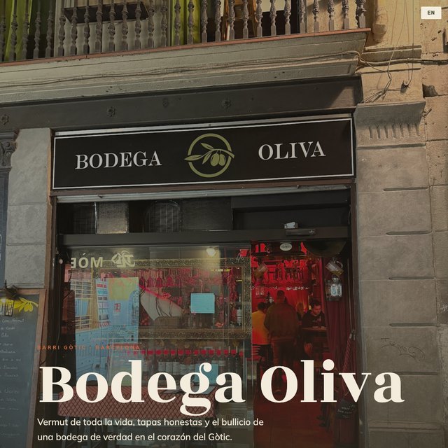 Bodega Oliva website by StudioMorphik