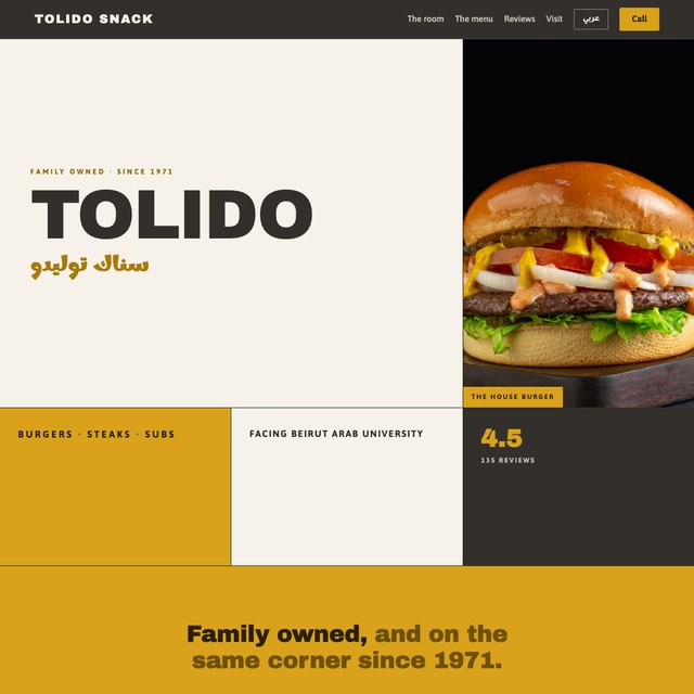 Tolido Snack website by StudioMorphik