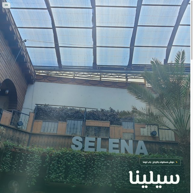 سيلينا website by StudioMorphik